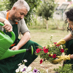 Steward Package (Design & Weekly Consultations)