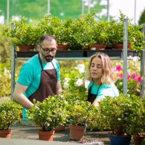 Cultivator Package (Design & Biweekly Consultations)