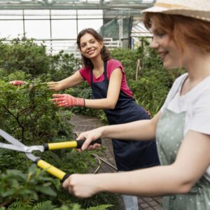 Seedling Starter Package (Design & One-Time Consultation)